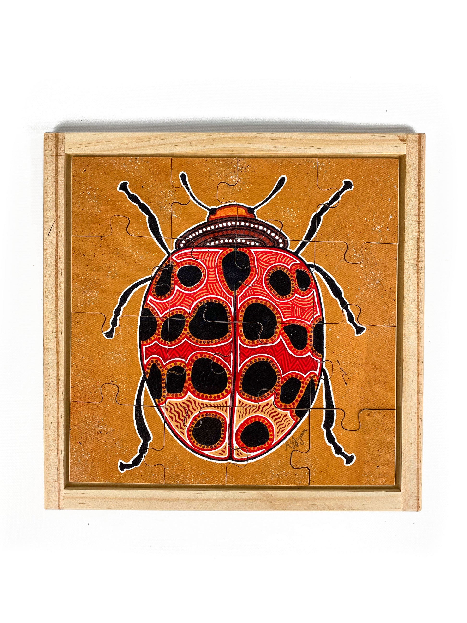 Aboriginal Insect Square Puzzles with FREE Posters