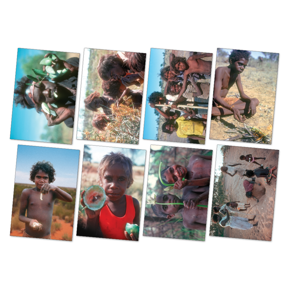 Bush Tucker Poster Pack