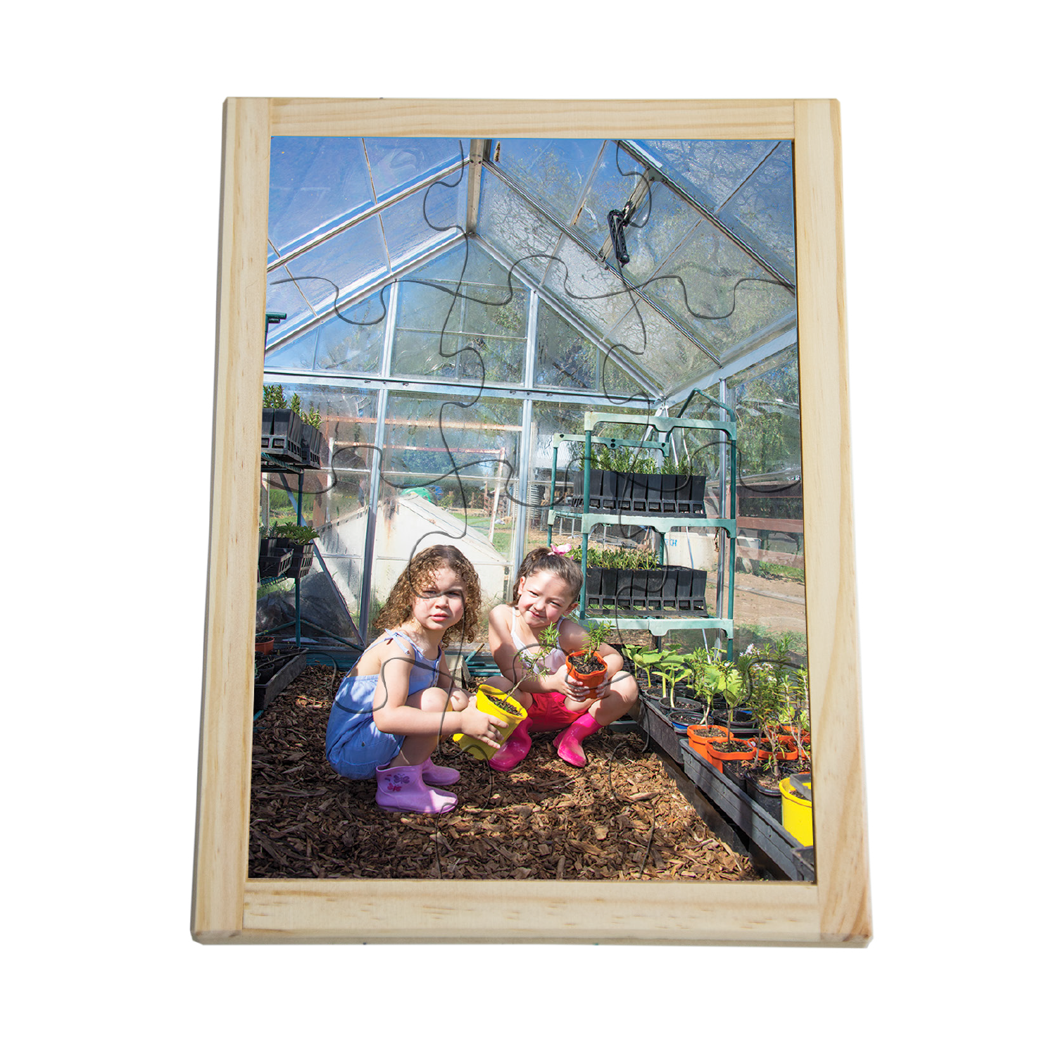 Greenhouse Puzzle