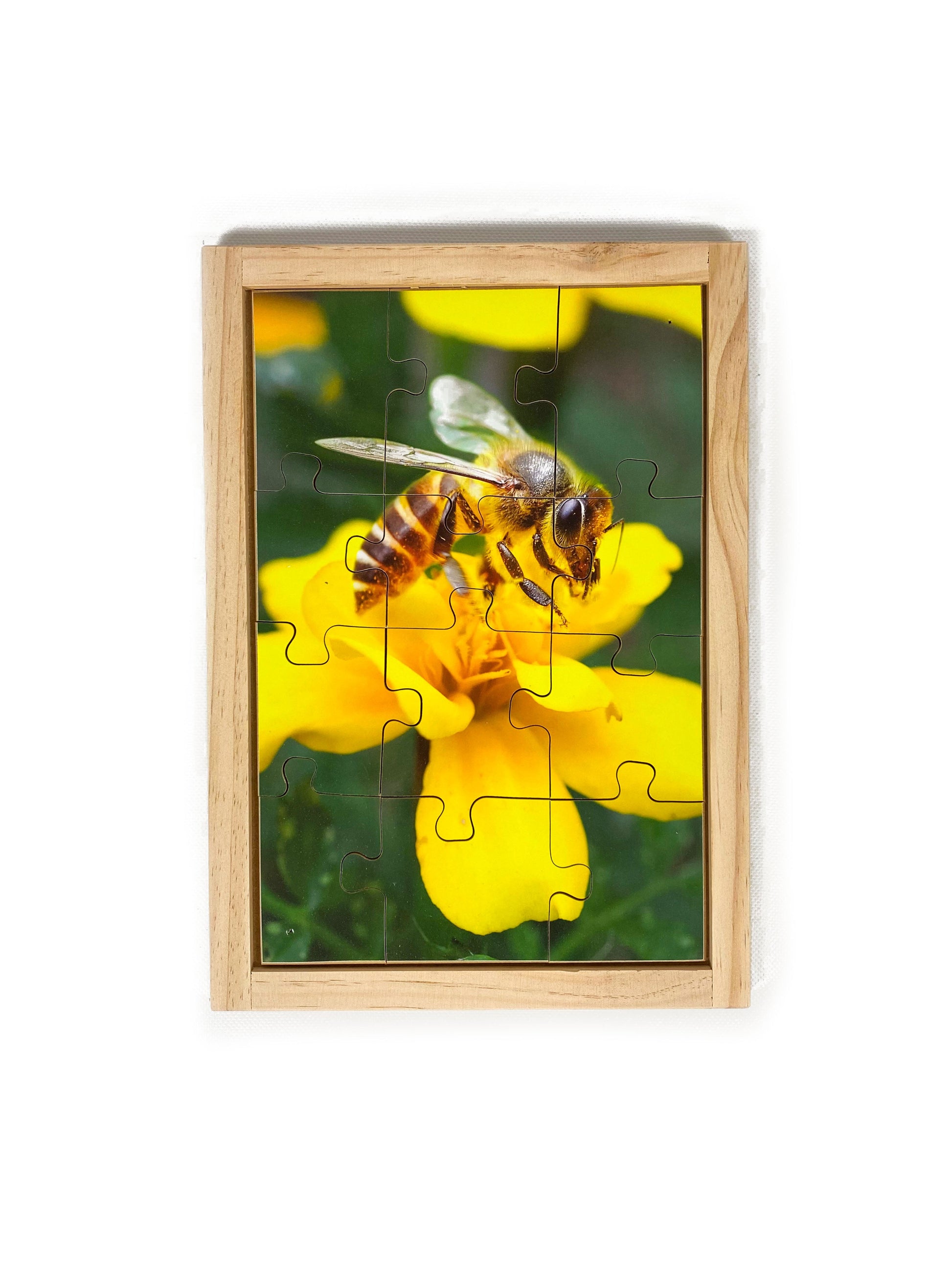 Honey Bee Puzzle