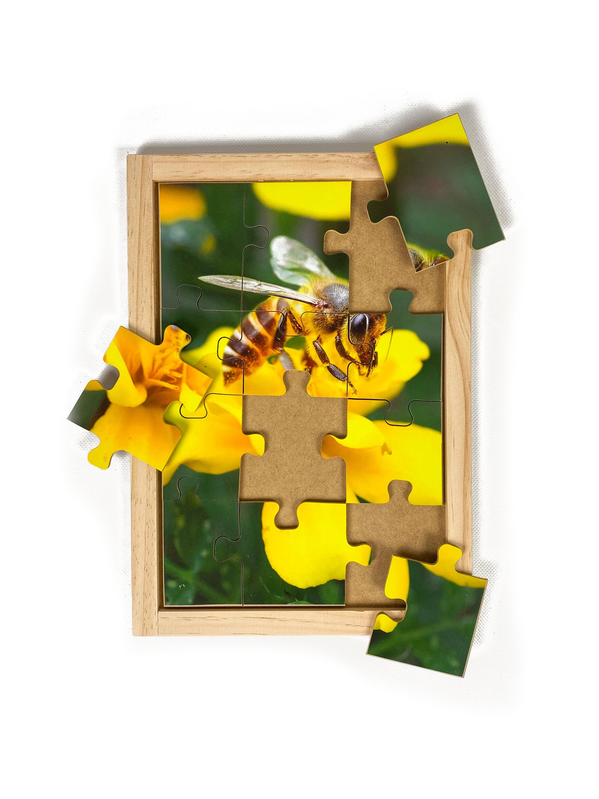 Honey Bee Puzzle