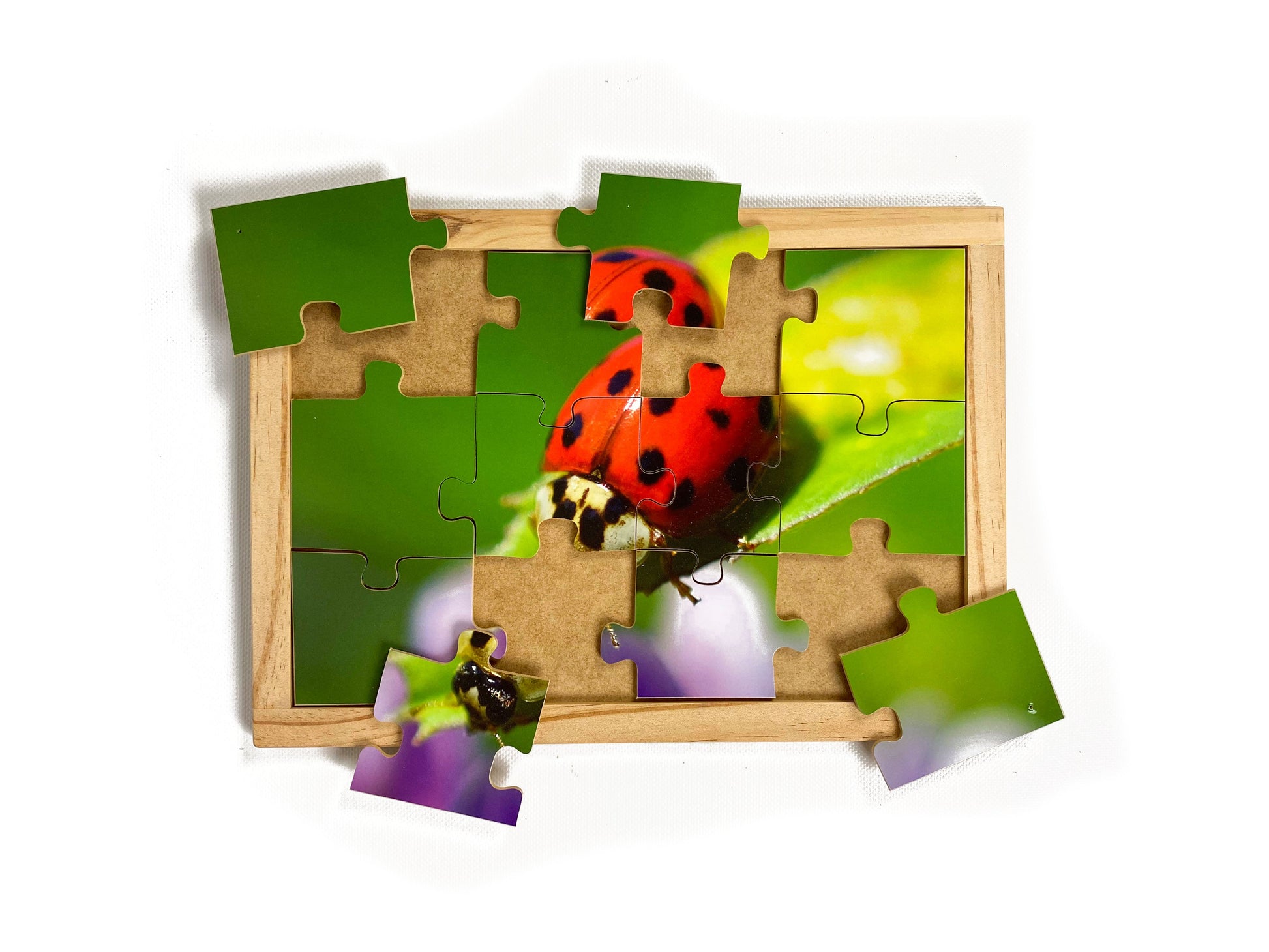 Lady Beetle Puzzle