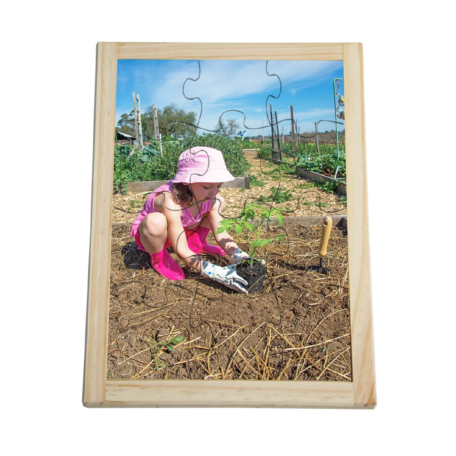 Planting_Seedling_Puzzle