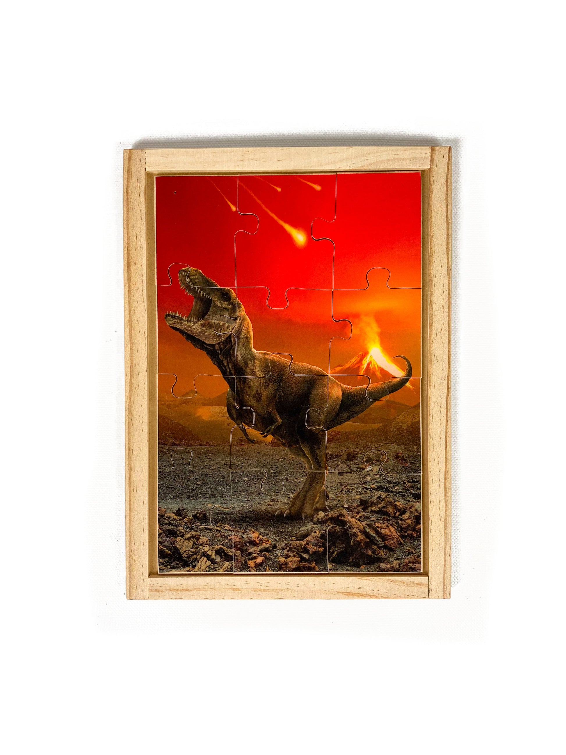 Dinosaur Puzzle Set with FREE Posters